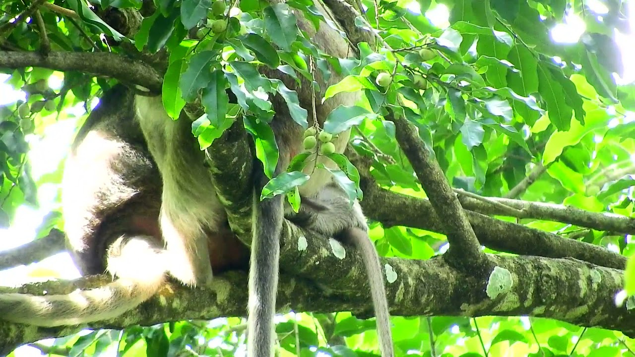 OMG .!! Family's DeeDee take care when DeeDee she birth .!!