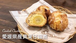 愛媛県産黄栗甘露煮