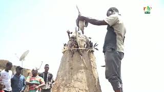 Journée des coutumes: rites sacrificiels chez le chef de terre de Sya, pour la paix au Faso