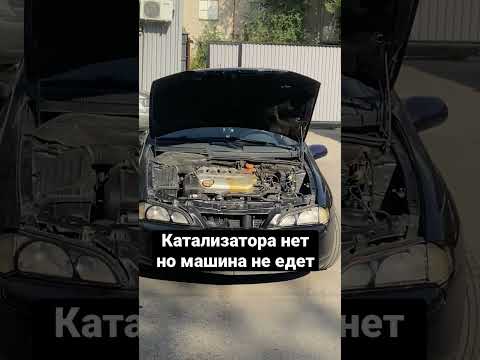 Видео: Муу катализатор код шидэх үү?