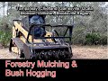 Forestry Mulching Tampa Bay to Chiefland