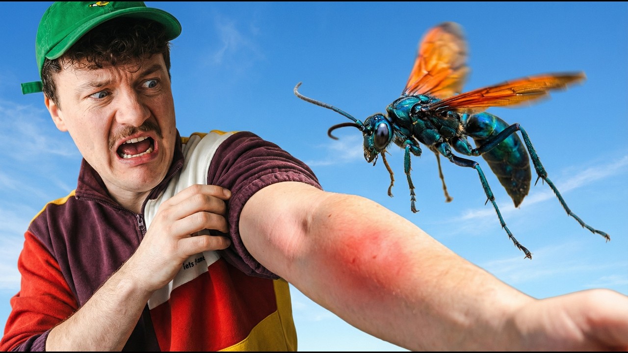 Najgroźniejsze trucizny świata zwierząt