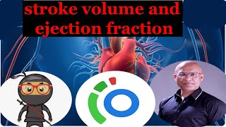 stroke volume ejection fraction What is the difference between EF and SV