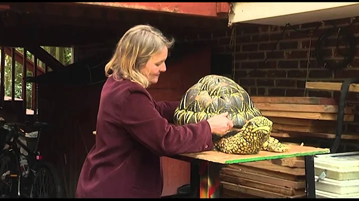 Sculptor Diane Gilbert