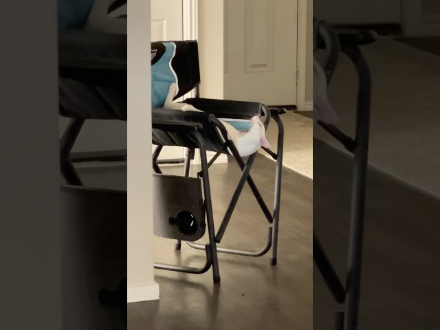 I sold this chair, folded it up and Mac said nope… this is my chair lol. #cats #catlover