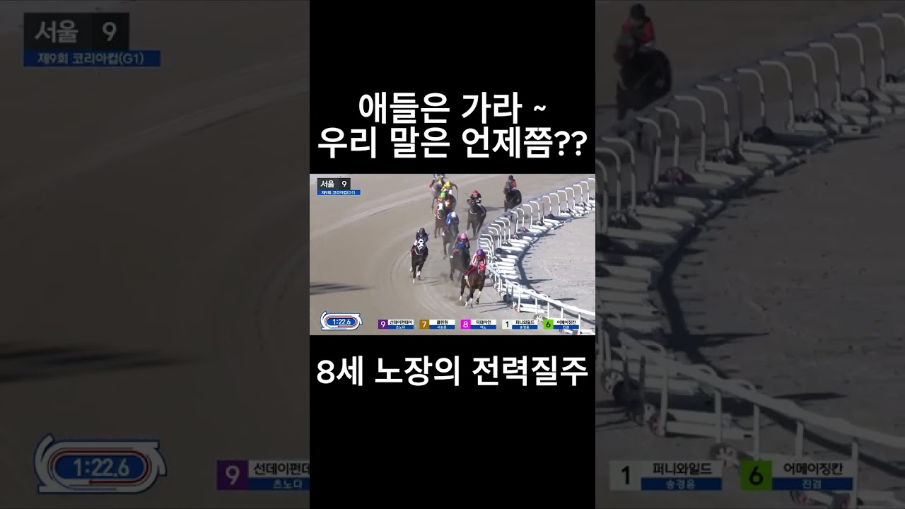 우리 말은 언제쯤??   #경마  #경마예상  #경마방송  #경마예상방송  #서울경마  #금요경마  #토요경마  #일요경마 #경마장
