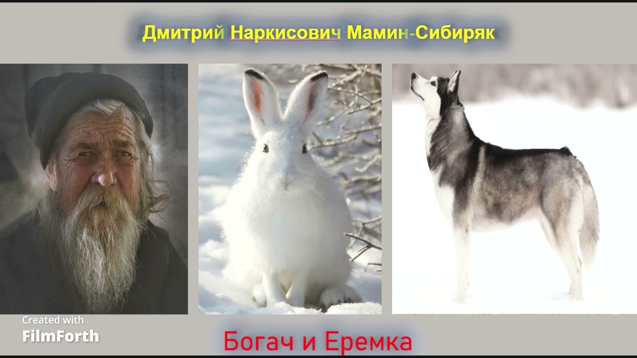Дмитрий Наркисович Мамин Сибиряк Богач и Еремка - YouTube
