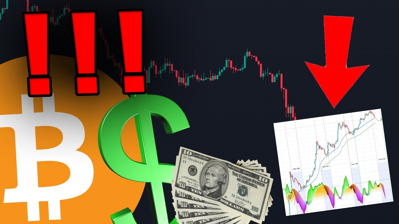 BITCOIN HOLDERS... YOU NEED TO SEE THIS MINDBLOWING CHART