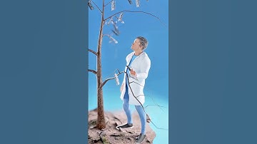 Can Money Really Grow on Trees? 😳