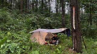 Solo Camping Hujan Deras, Bersantai, Ubi Pisang Kukus dan Kopi Espresso