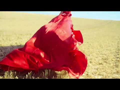 Flying dress in a wheatfield of Valensole, Provence