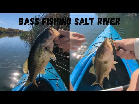 Bass fishing the Arizona Salt River