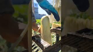 White Radish Making Dried Foods #satisfying #shot