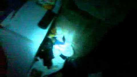leilani bn jetona perO kn loz piez kolgando