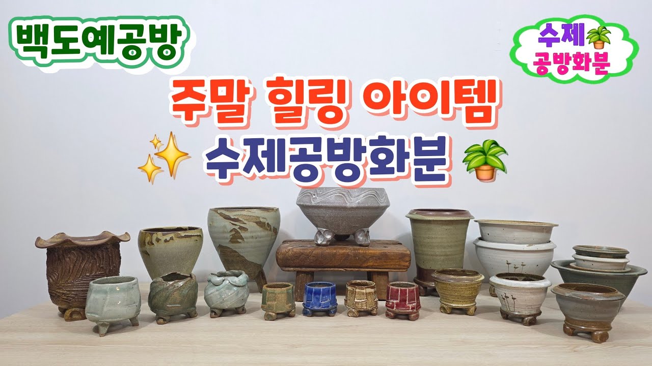 20260220(277회 영상)봄을 담는 화분🪴정성가득한 수제화분🤗#수제화분 #공방화분#야생화화분#다육화분 #아프리카식물#분갈이화분#고급화분 #핸드메이드#명품화분#롱분#대품화분