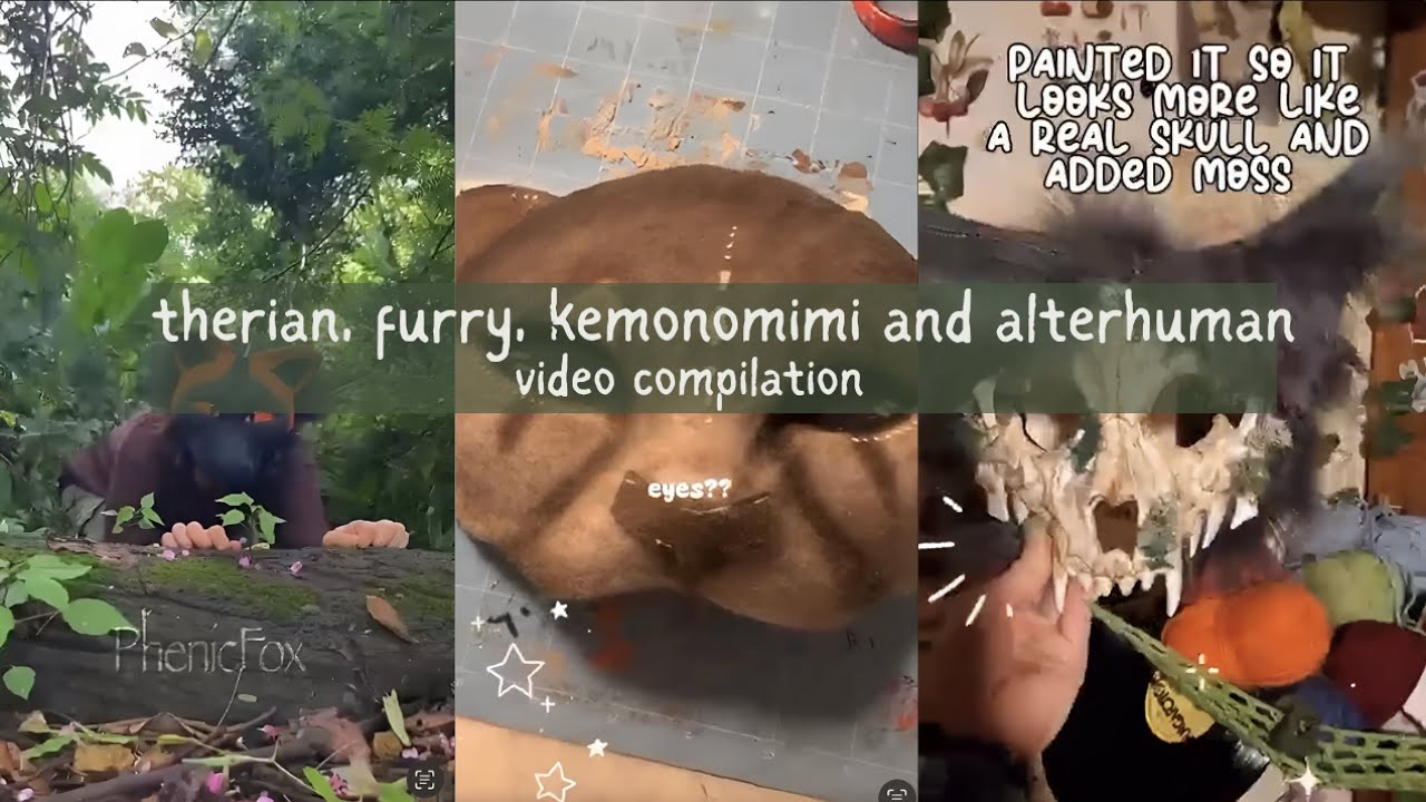 Therian, furry, kemonomimi, alterhuman, and quadrobist video compilation 🪲🌱 