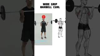 Wide Grip Barbell Curl: How To Do And Muscles Worked #bicepexercises #gymworkoutvideos #gymshorts