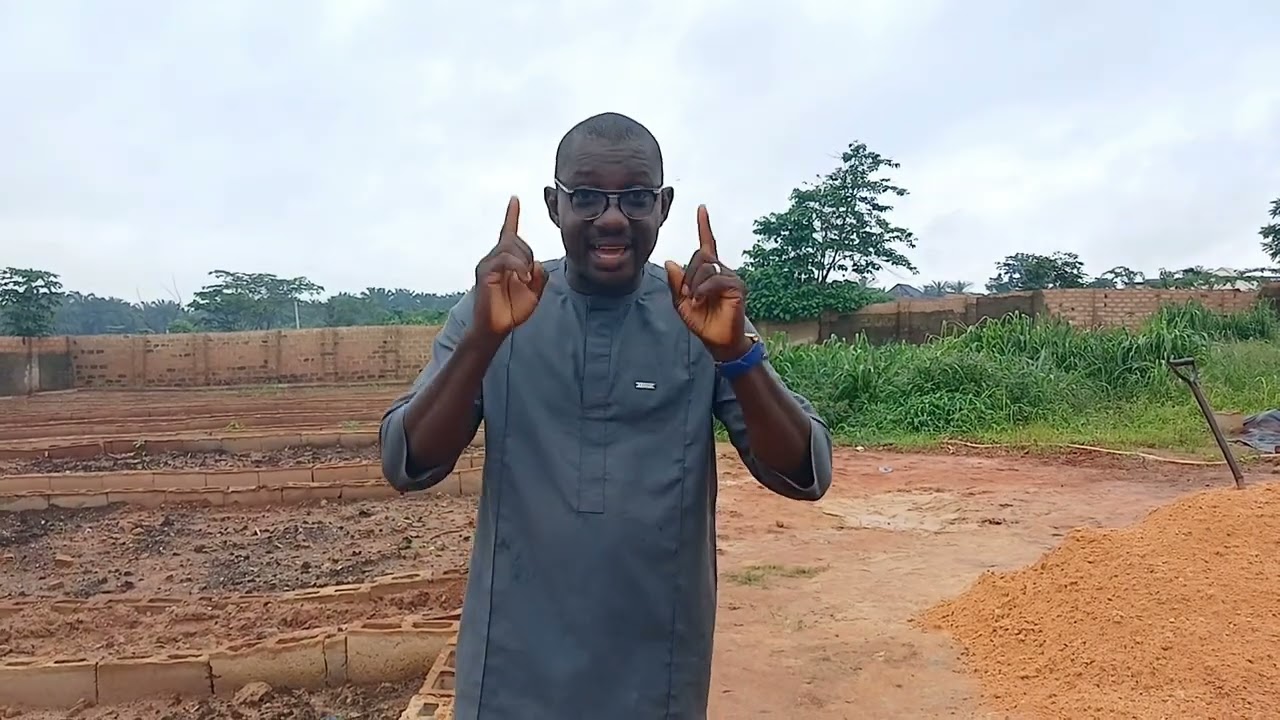 BIGGEST SNAIL FARM IN NIGERIA BY S&T.