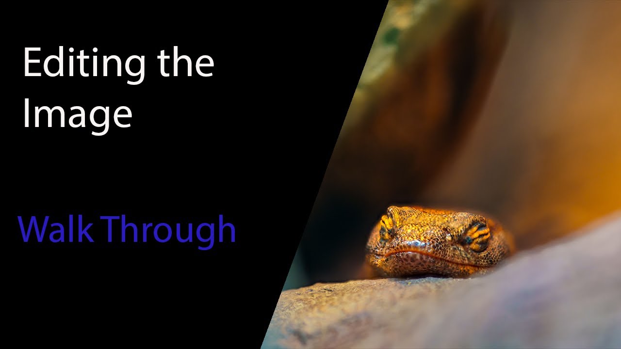 Editing the Image - Focus Stacking, Sharpening, DeNoise.