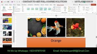 Exp22_PowerPoint_AppCapstone_IntroAssessment_Color | Exp22 PowerPoint App Caps Assessment Color