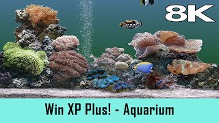 Windows XP Plus! Screensaver - Aquarium 2001 (8K)