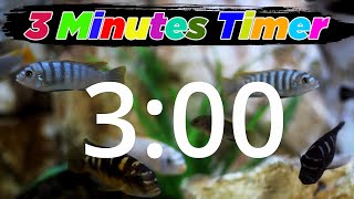 Countdown 3 Minute Timer Best & Updated