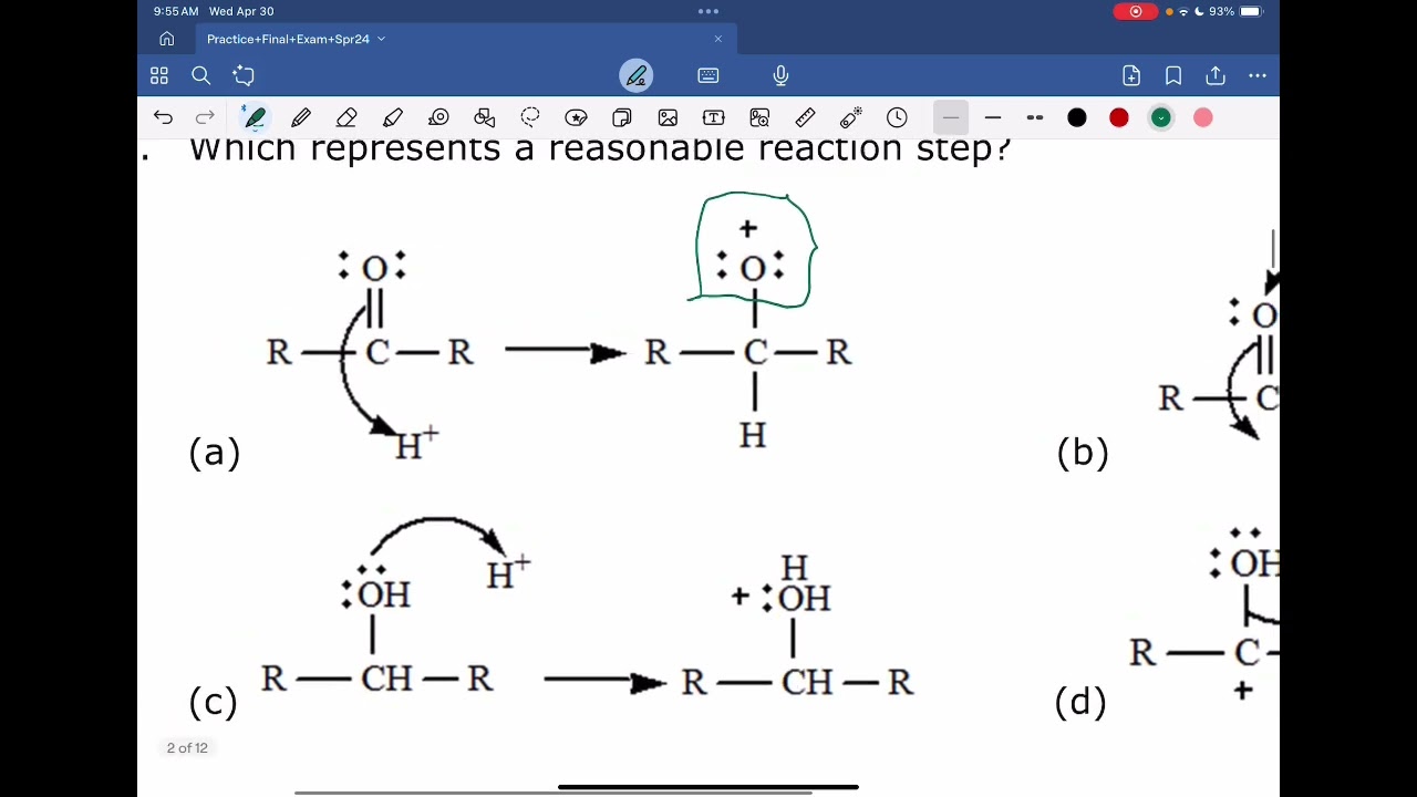 Salvador M Final practice ochem 2 2024 straumanis key explained
