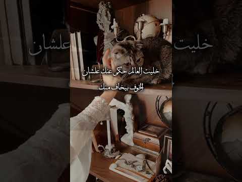 يا أسد واقف بشجاعتك تحفيز قصير بدون موسيقى انت الأستاذ ترند