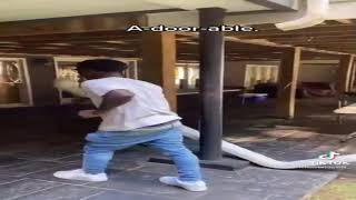 a-door-able