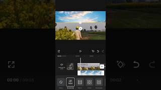 Split timelapse tutorial capcut video editor #shorts