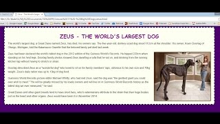 Make a Stylish Web Page Using HTML5 & CSS3