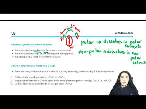 Functional Groups Explained