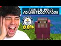 TUTTI I RECORD MONDIALI DI MINECRAFT *DIVERTENTISSIMI*