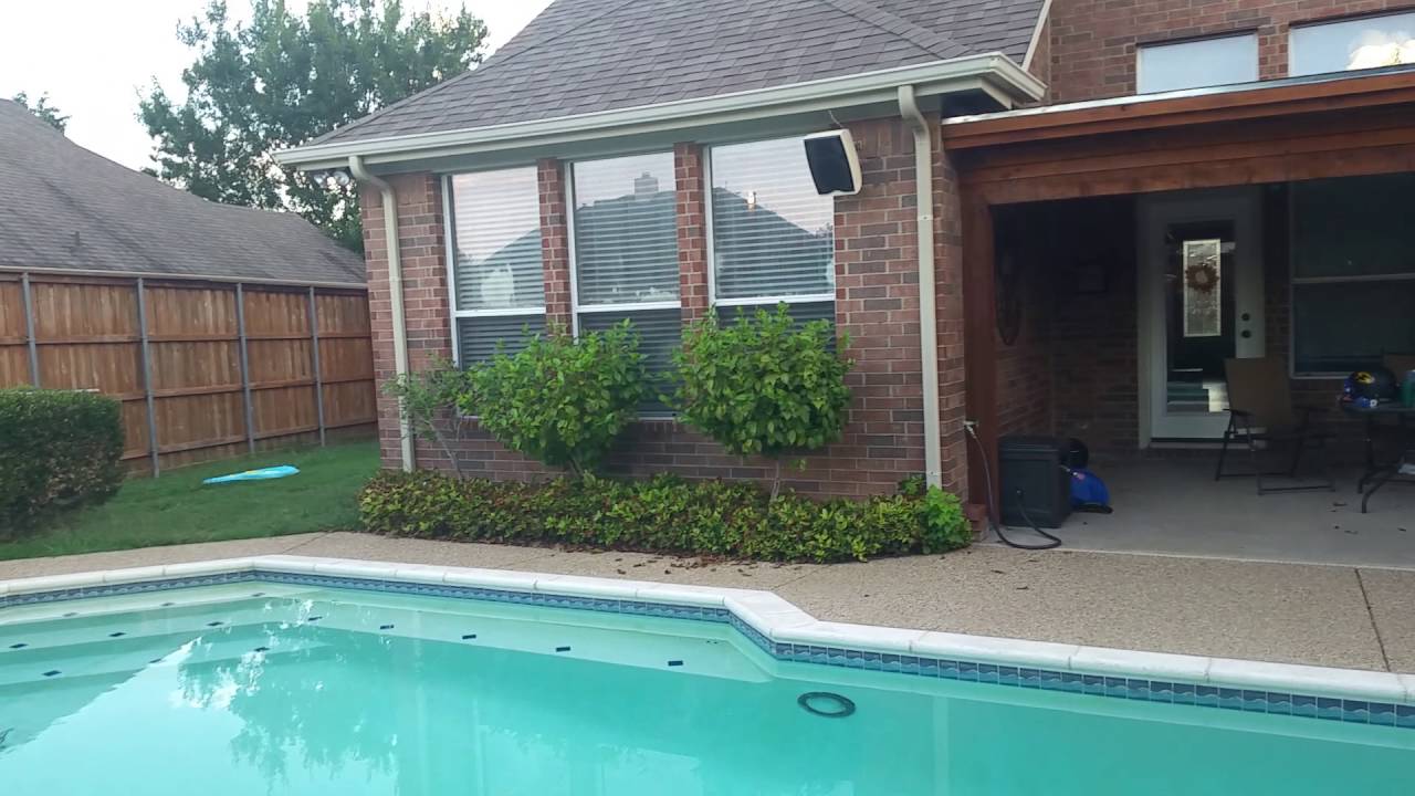 Our backyard - YouTube