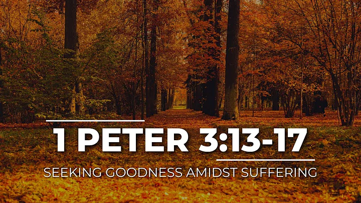 Seeking Goodness Amidst Suffering: 1 Peter 3:13-17