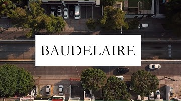 Charles Baudelaire - The Beauty and Horror of Modern Life