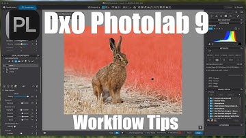 DxO Photolab 9 workflow tips