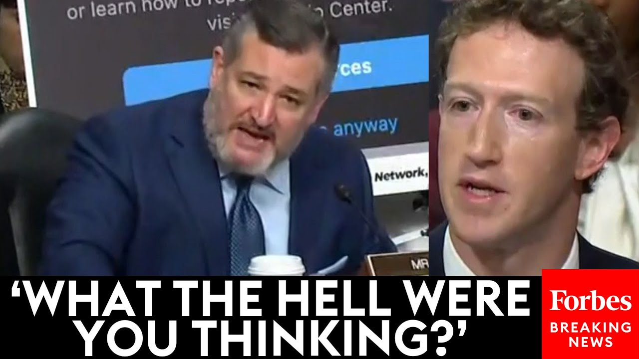 Watch the moment Mark Zuckerberg got into Harvard