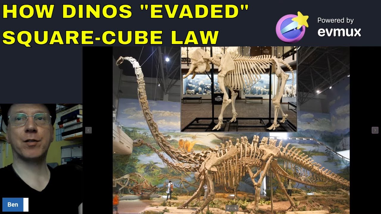 How Dinosaurs Evaded The Square Cube Law David Esker s Answer YouTube How dinosaurs evaded the square cube law david esker s answer youtube