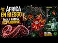 ÉBOLA EN AFRICA: ¿Se puede contener este nuevo brote?