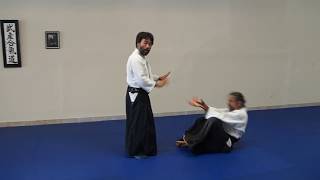 Age & Sage Application for Aikido 6  July 7 2012 screenshot 2