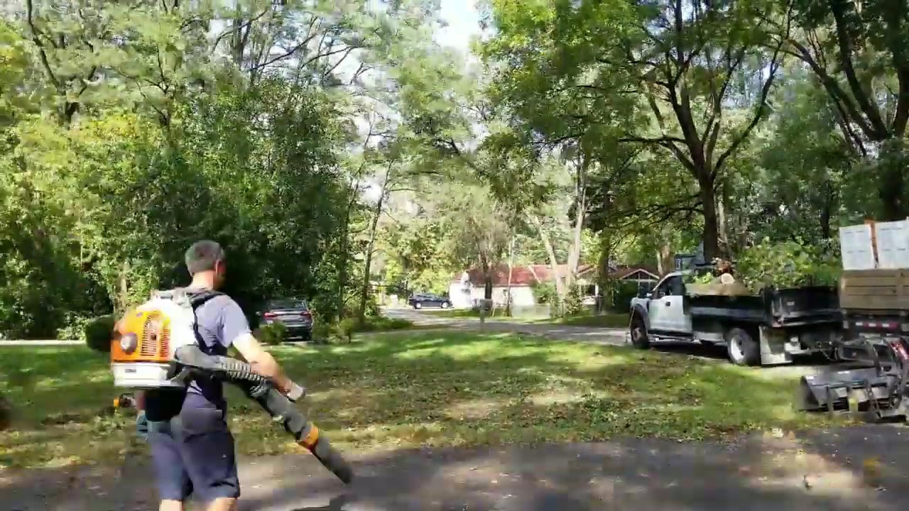 Tree Clean Up from Storm Damage by Schott Services - YouTube