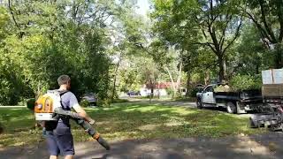 Tree Clean Up from Storm Damage by Schott Services screenshot 3