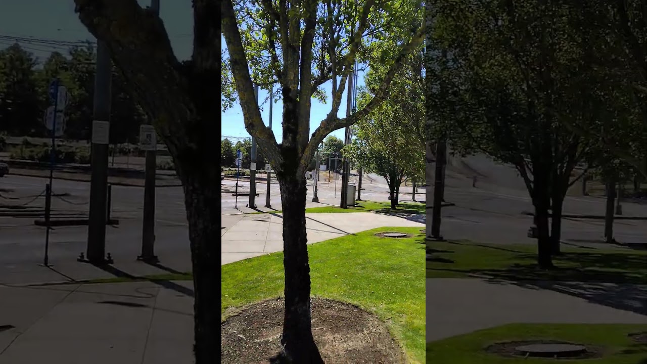 Rose Garden City Station 