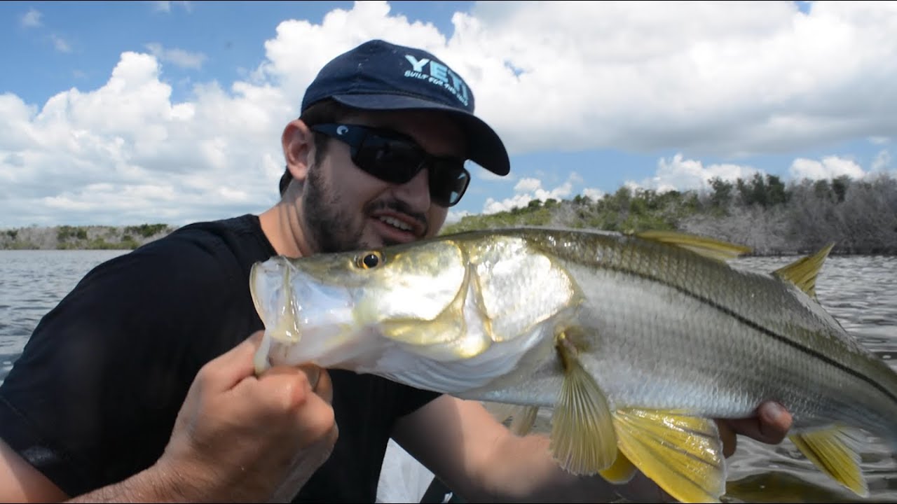 Fishing for Snook in Florida by Canoe (BIG SNOOKS On Artificial) YouTube