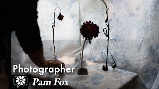 Pam Fox: Photographer