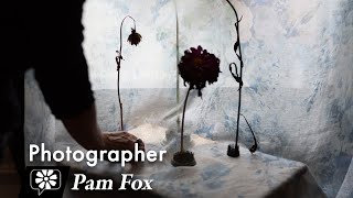 Pam Fox: Photographer Pam Fox: Photographer