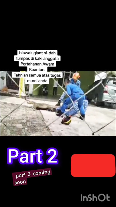 biawak serang akak jpam