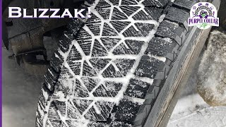 Bridgestone Blizzak DM-V2