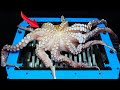Shredding Giant Octopus Food And Toys